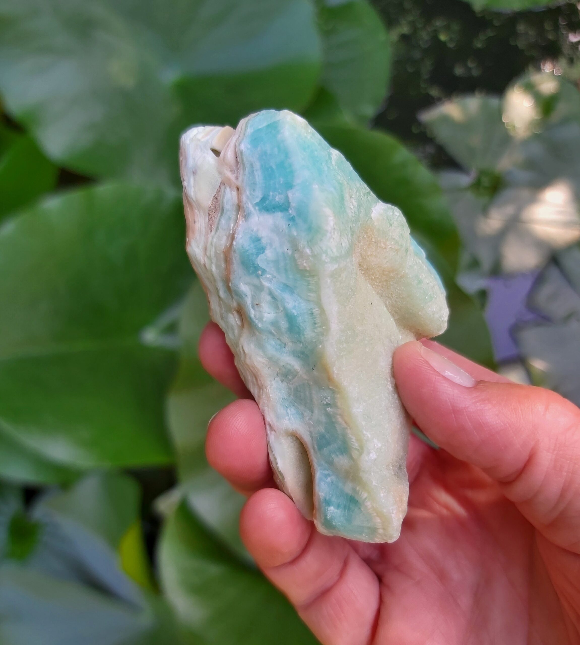 Caribbean Blue Calciet punt