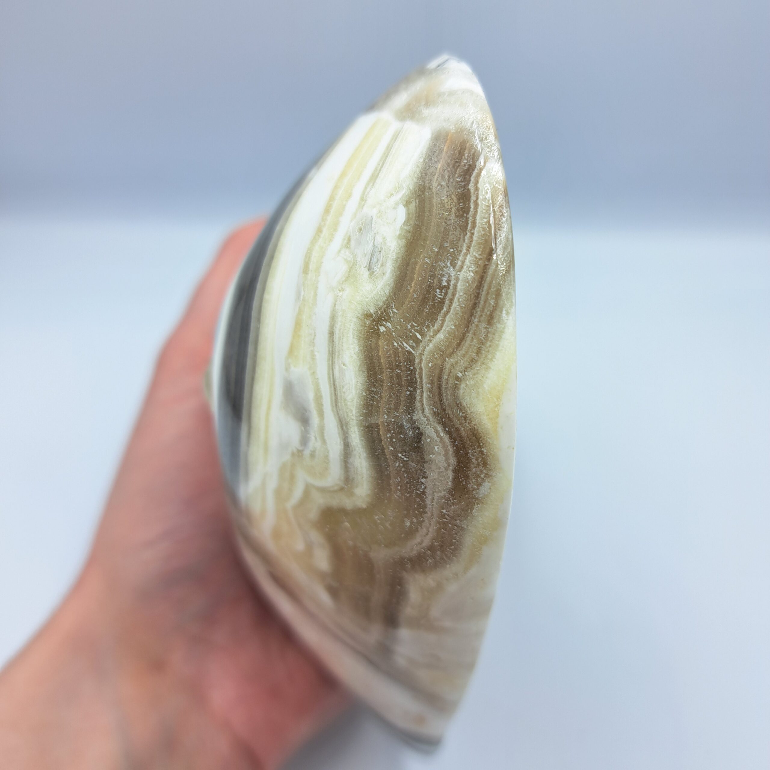 Zebra Calciet hartschaaltje - Afbeelding 2